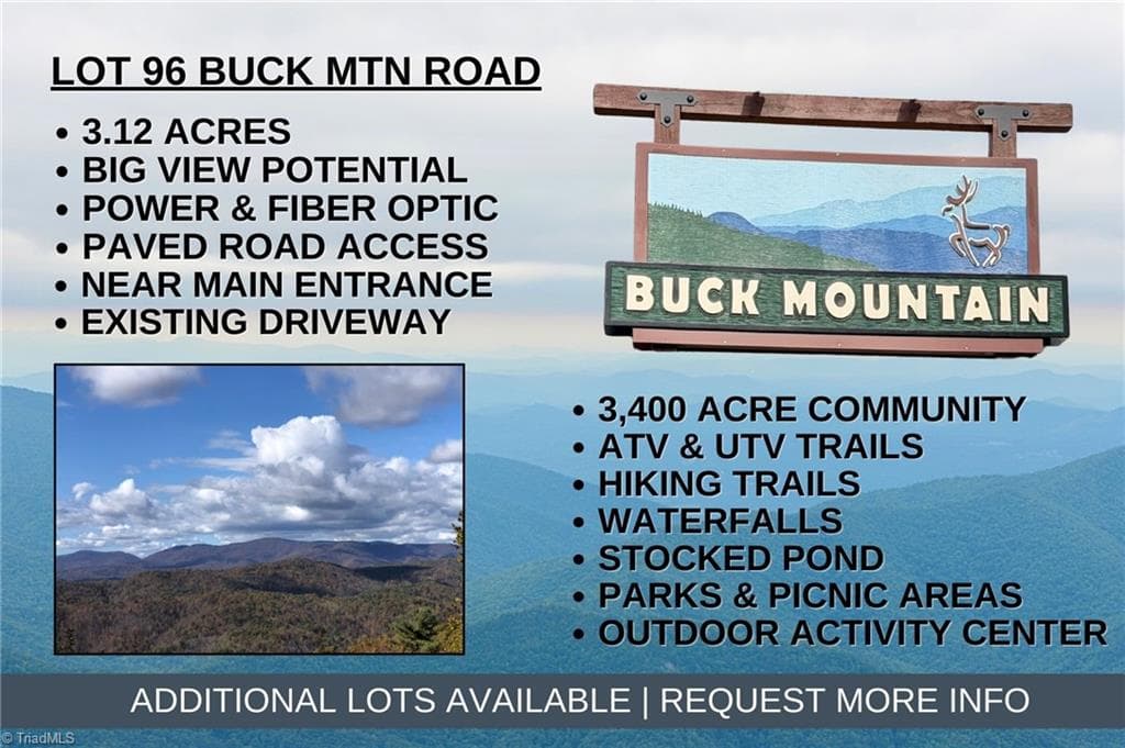 Lot 96 Buck Mountain Road, Purlear NC 28665