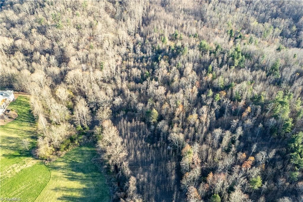 Unimproved Land at TBD Town N Country Drive, Wilkesboro NC 28697, photo 4 of 6