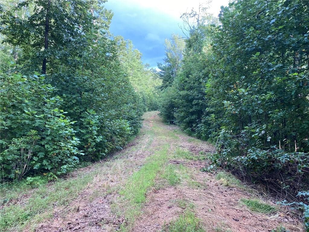 Unimproved Land at TBD Scout Road, Lenoir NC 28645, Lenoir, photo 13 of 18