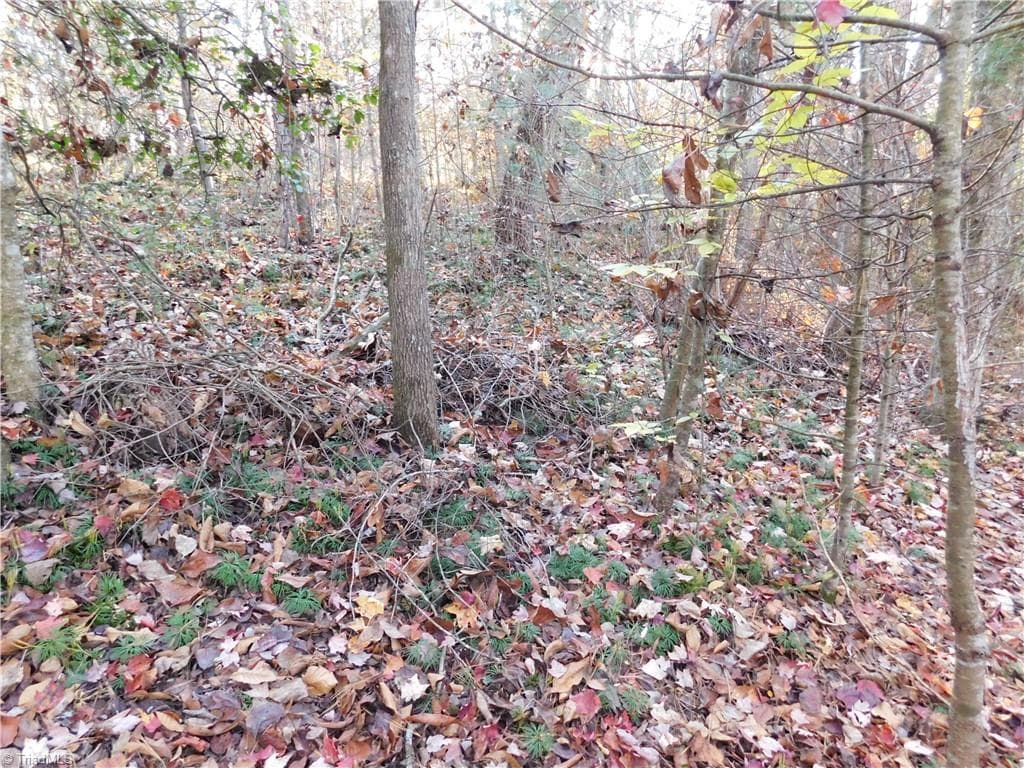 Unimproved Land at 00 Billings Hill Church Road, Traphill NC 28685, photo 13 of 38