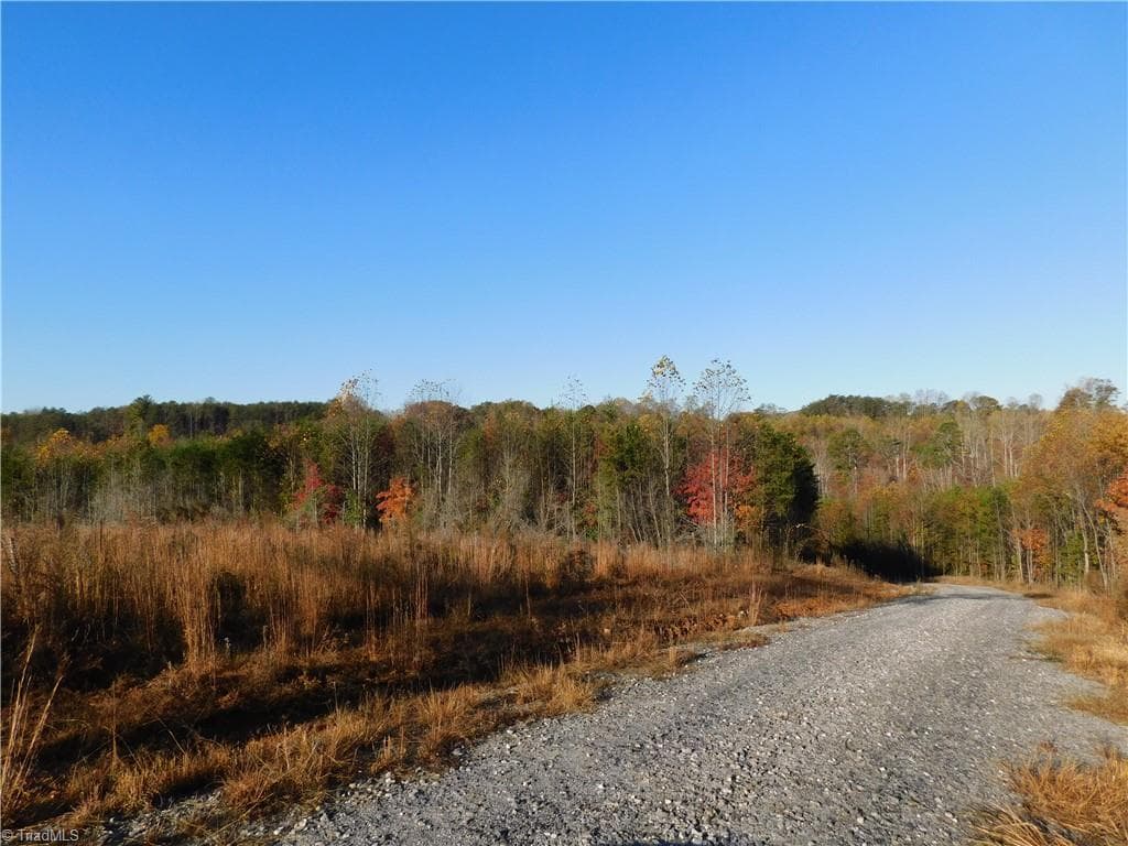 Unimproved Land at 00 Billings Hill Church Road, Traphill NC 28685, photo 22 of 38