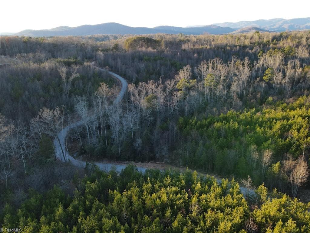 Unimproved Land at 00 Billings Hill Church Road, Traphill NC 28685, photo 36 of 38