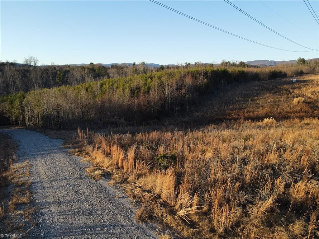 Unimproved Land at 00 Billings Hill Church Road, Traphill NC 28685, photo 32 of 38