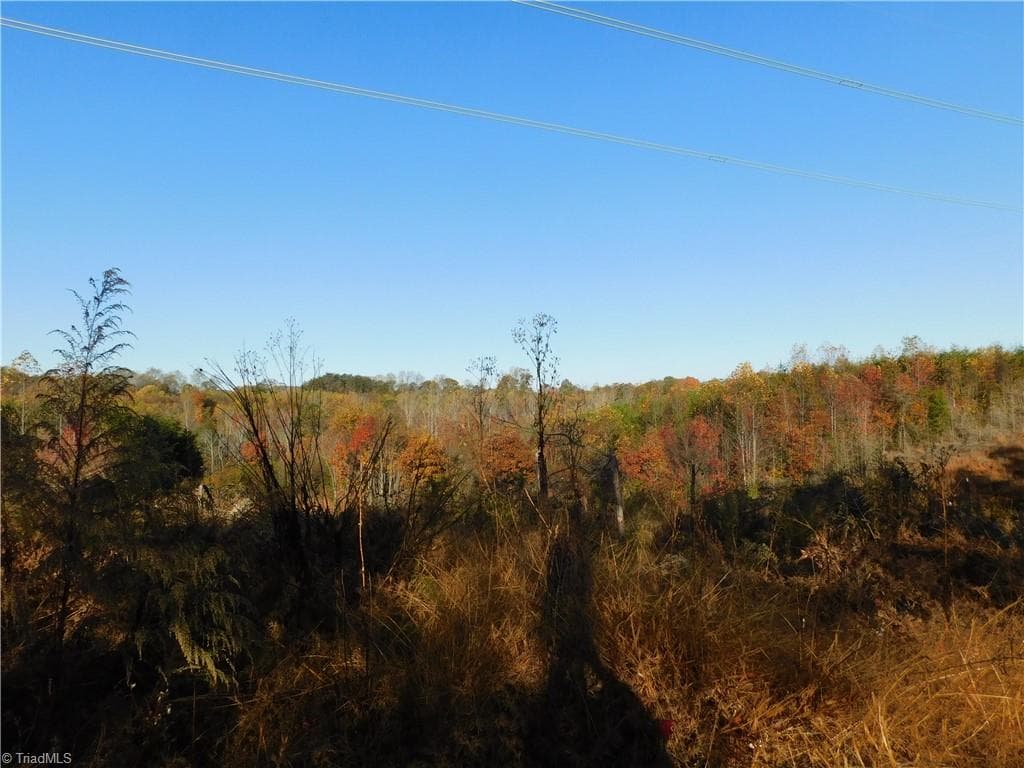 Unimproved Land at 00 Billings Hill Church Road, Traphill NC 28685, photo 20 of 38