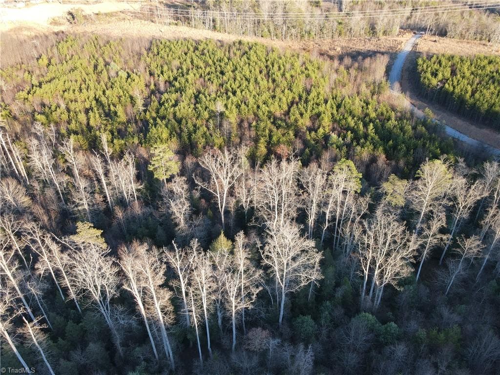Unimproved Land at 00 Billings Hill Church Road, Traphill NC 28685, photo 30 of 38
