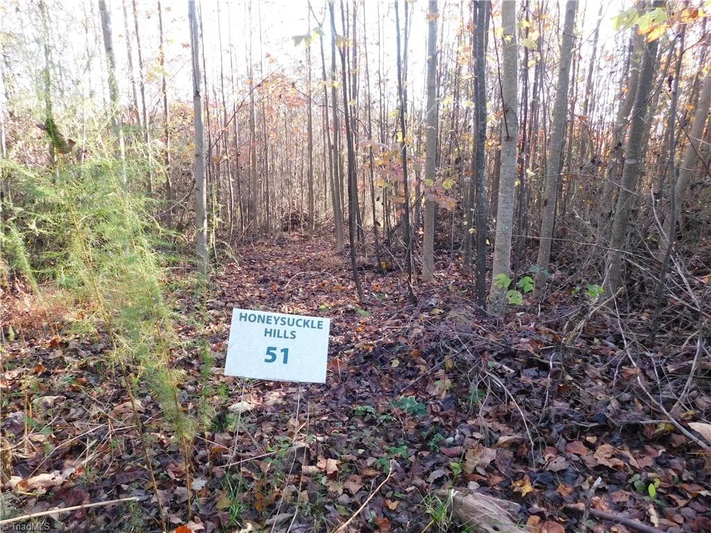 Unimproved Land at 00 Billings Hill Church Road, Traphill NC 28685, photo 15 of 38