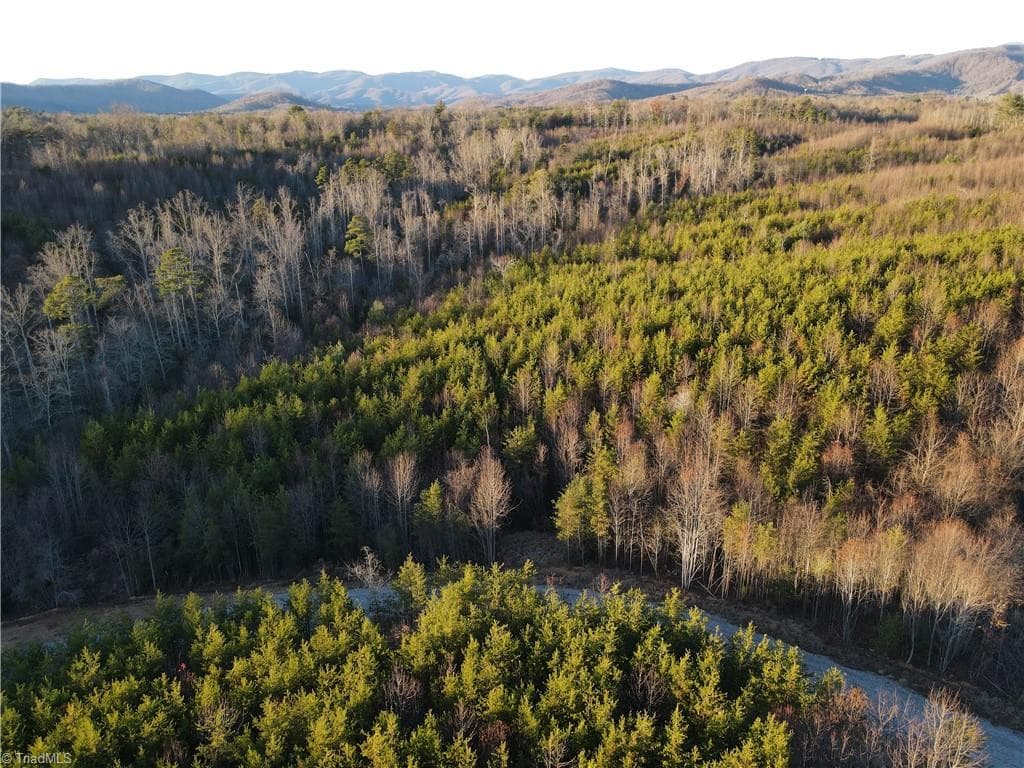 Unimproved Land at 00 Billings Hill Church Road, Traphill NC 28685, photo 35 of 38