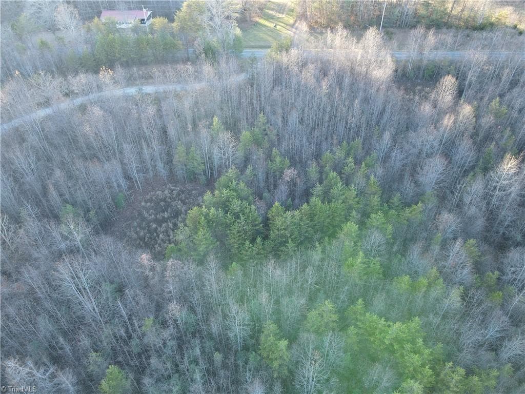 Unimproved Land at 00 Billings Hill Church Road, Traphill NC 28685, photo 29 of 38