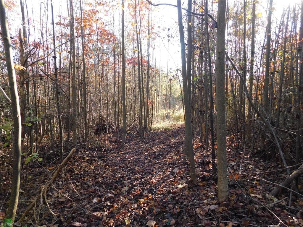 Unimproved Land at 00 Billings Hill Church Road, Traphill NC 28685, photo 25 of 38