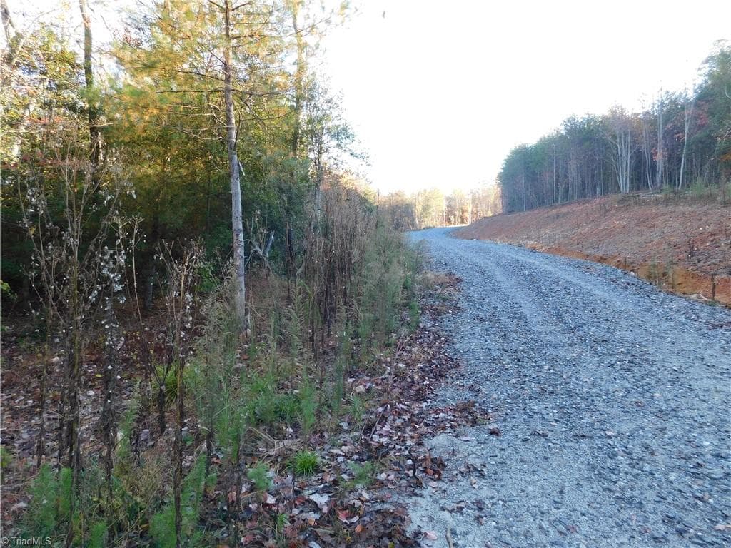 Unimproved Land at 00 Billings Hill Church Road, Traphill NC 28685, photo 21 of 38