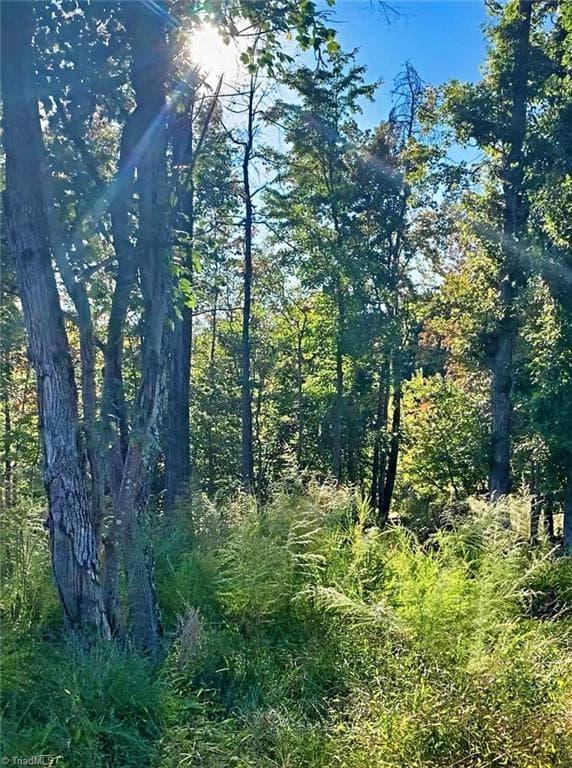 Unimproved Land at 1901 Carver Drive, Roxboro NC 27573, Roxboro, photo 10 of 14