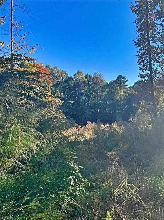 Unimproved Land at 1901 Carver Drive, Roxboro NC 27573, Roxboro, photo 11 of 14