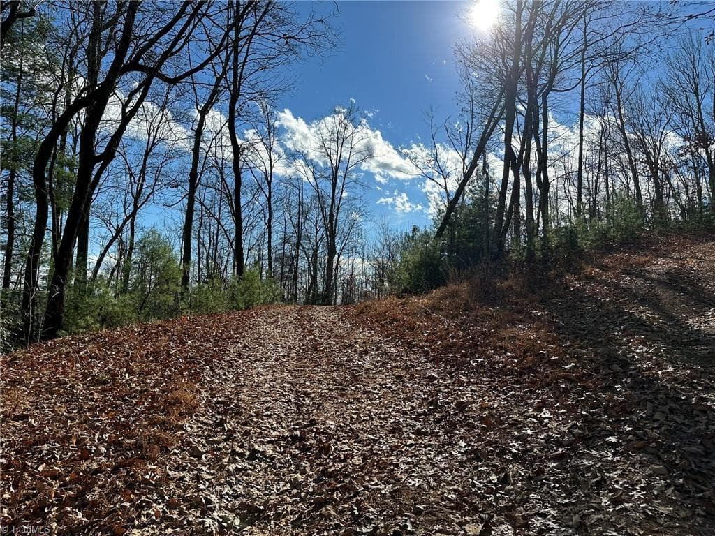 Unimproved Land at TBD2 Scout Road, Lenoir NC 28645, Lenoir, photo 2 of 38