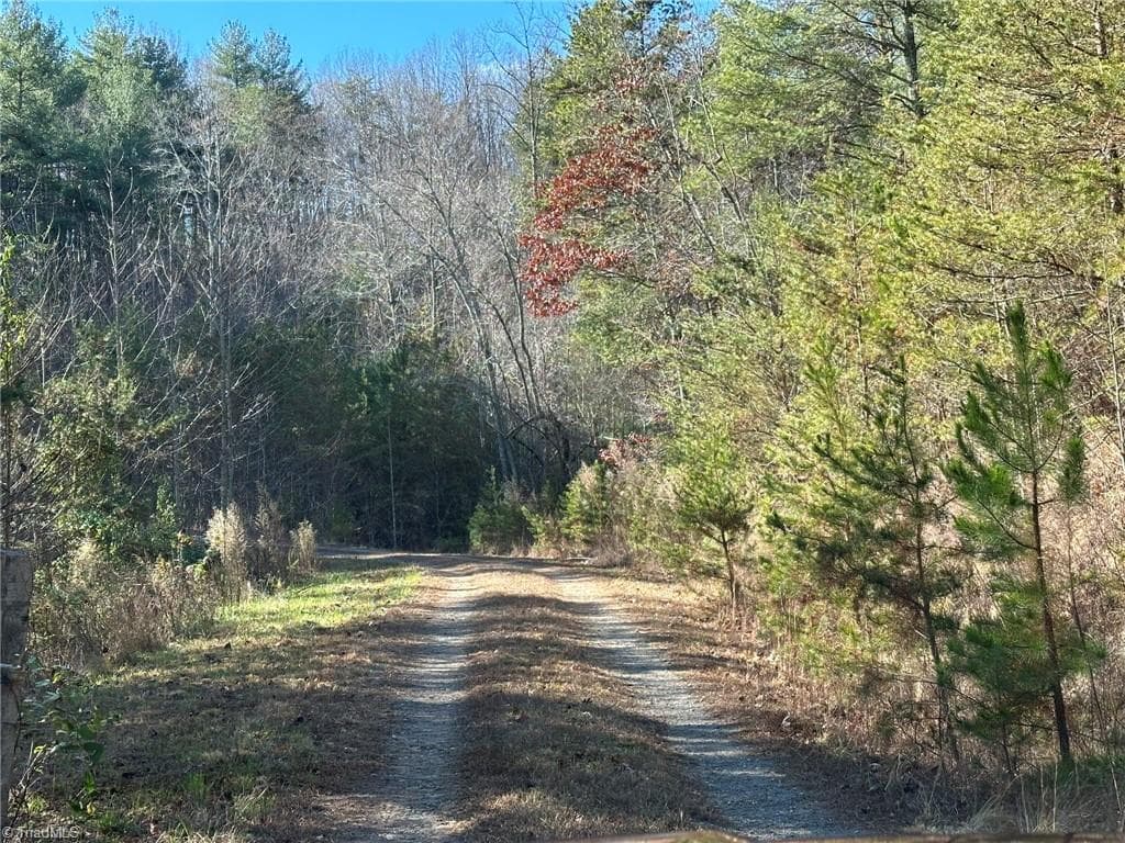 Unimproved Land at TBD2 Scout Road, Lenoir NC 28645, Lenoir, photo 6 of 38