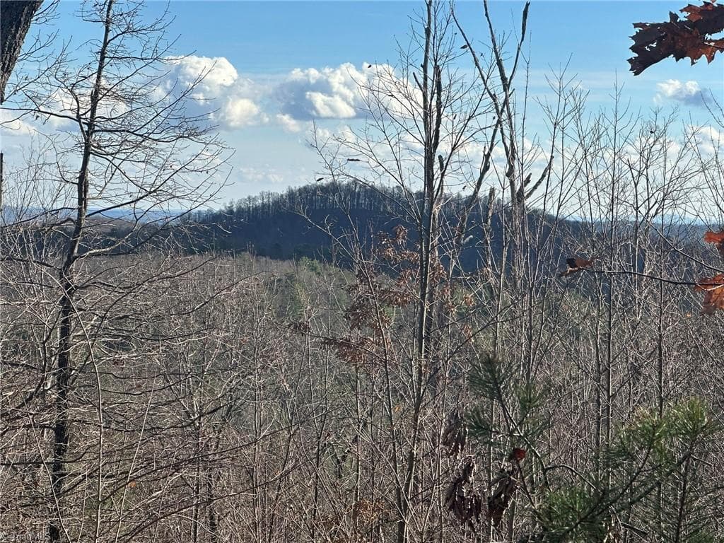 Unimproved Land at TBD2 Scout Road, Lenoir NC 28645, Lenoir, photo 17 of 38