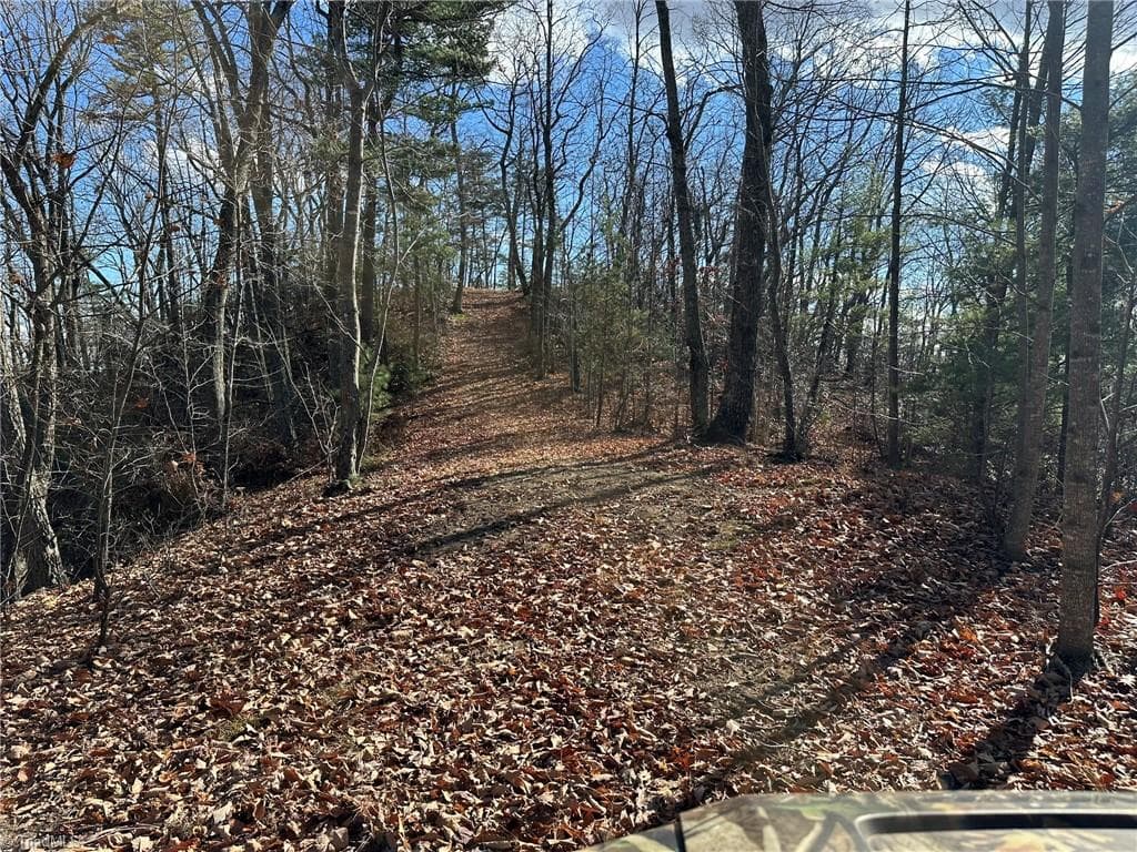 Unimproved Land at TBD2 Scout Road, Lenoir NC 28645, Lenoir, photo 16 of 38