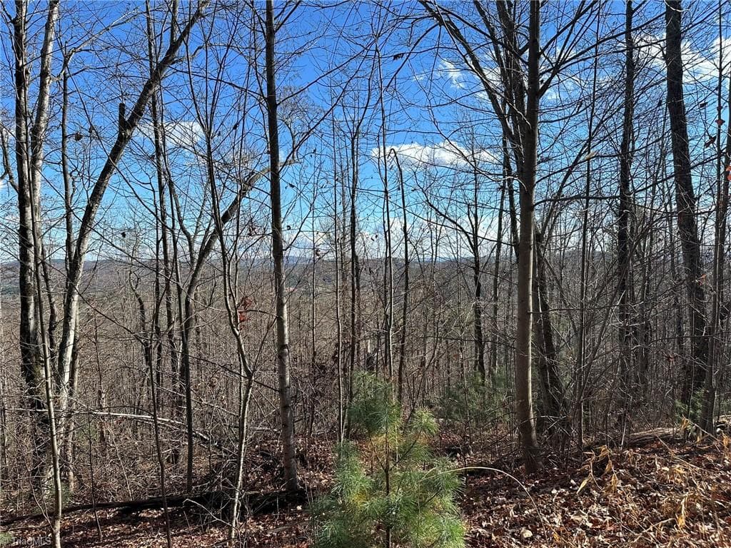 Unimproved Land at TBD2 Scout Road, Lenoir NC 28645, Lenoir, photo 12 of 38