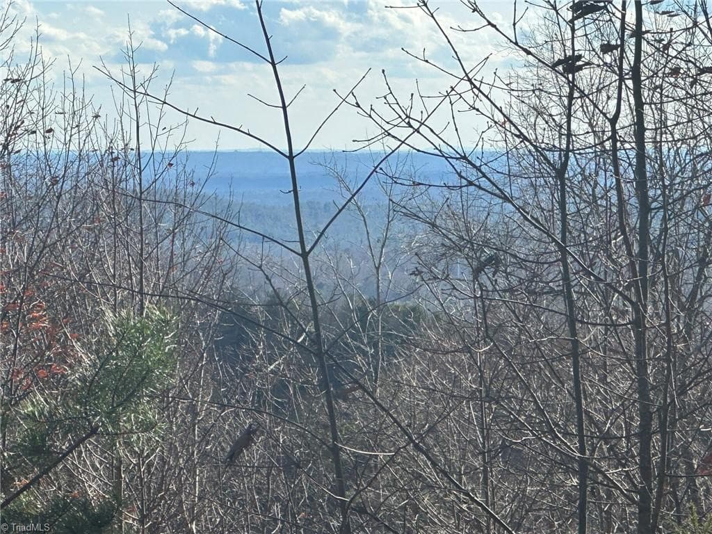 Unimproved Land at TBD2 Scout Road, Lenoir NC 28645, Lenoir, photo 22 of 38