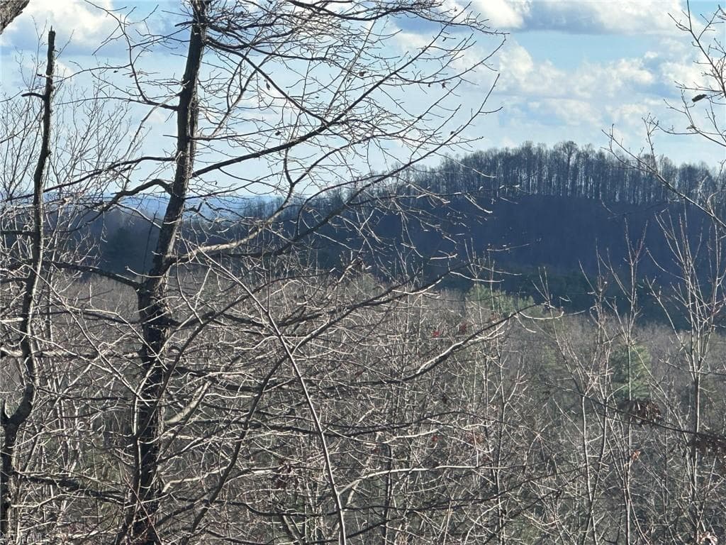 Unimproved Land at TBD2 Scout Road, Lenoir NC 28645, Lenoir, photo 20 of 38