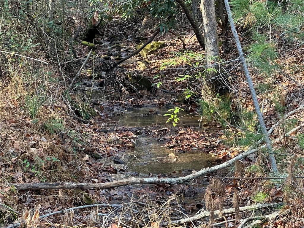 Unimproved Land at TBD2 Scout Road, Lenoir NC 28645, Lenoir, photo 24 of 38