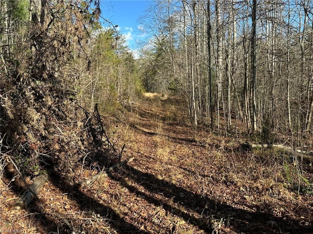 Unimproved Land at TBD2 Scout Road, Lenoir NC 28645, Lenoir, photo 38 of 38