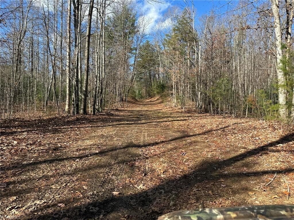 Unimproved Land at TBD2 Scout Road, Lenoir NC 28645, Lenoir, photo 10 of 38