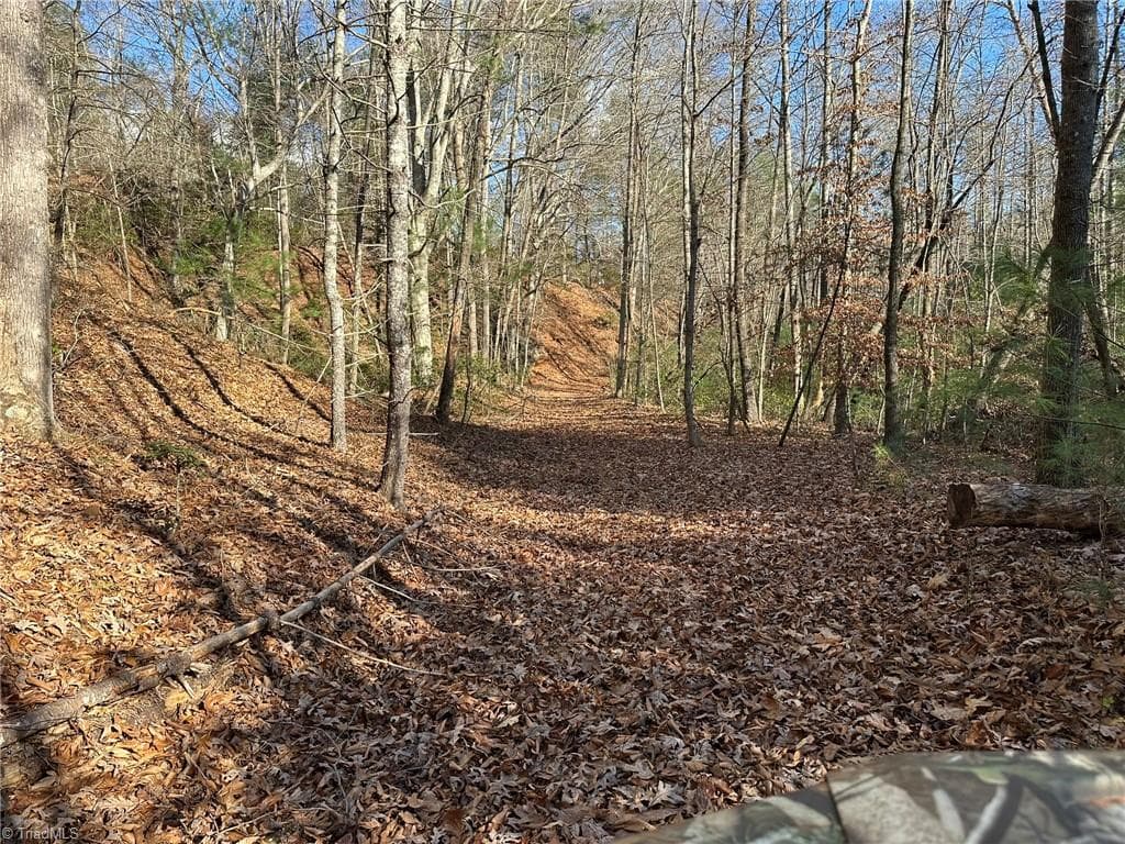 Unimproved Land at TBD2 Scout Road, Lenoir NC 28645, Lenoir, photo 33 of 38