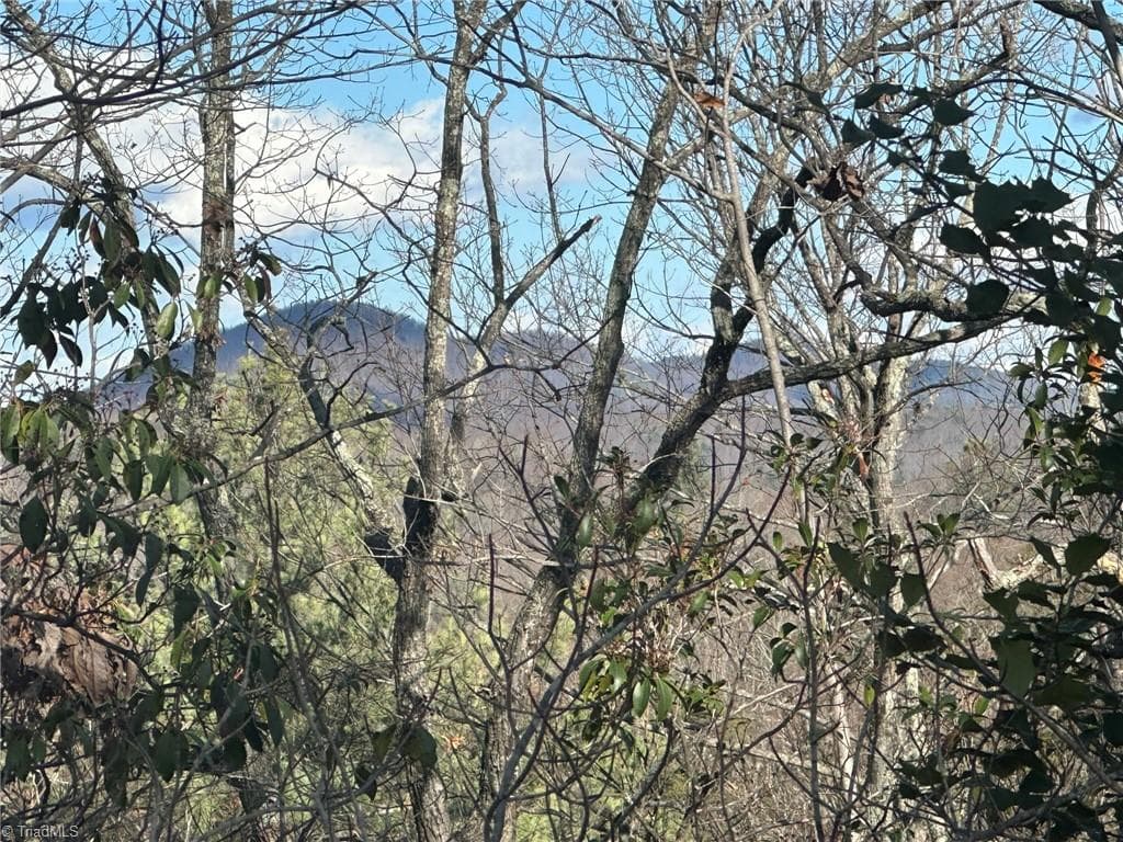 Unimproved Land at TBD2 Scout Road, Lenoir NC 28645, Lenoir, photo 18 of 38