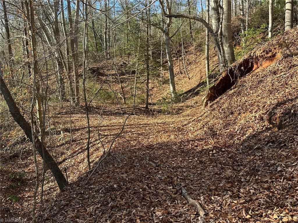 Unimproved Land at TBD2 Scout Road, Lenoir NC 28645, Lenoir, photo 37 of 38