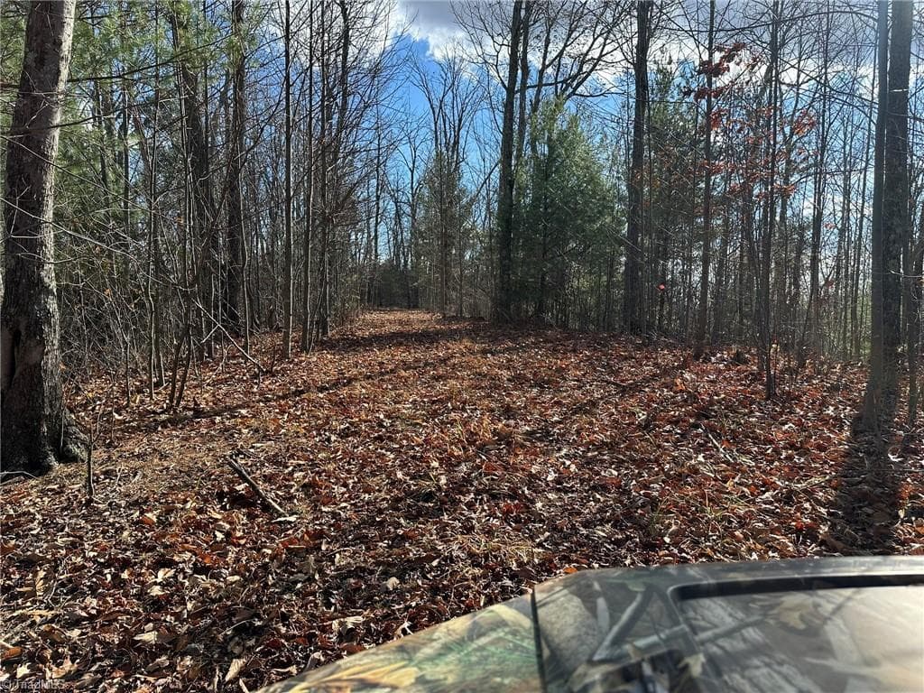 Unimproved Land at TBD2 Scout Road, Lenoir NC 28645, Lenoir, photo 15 of 38