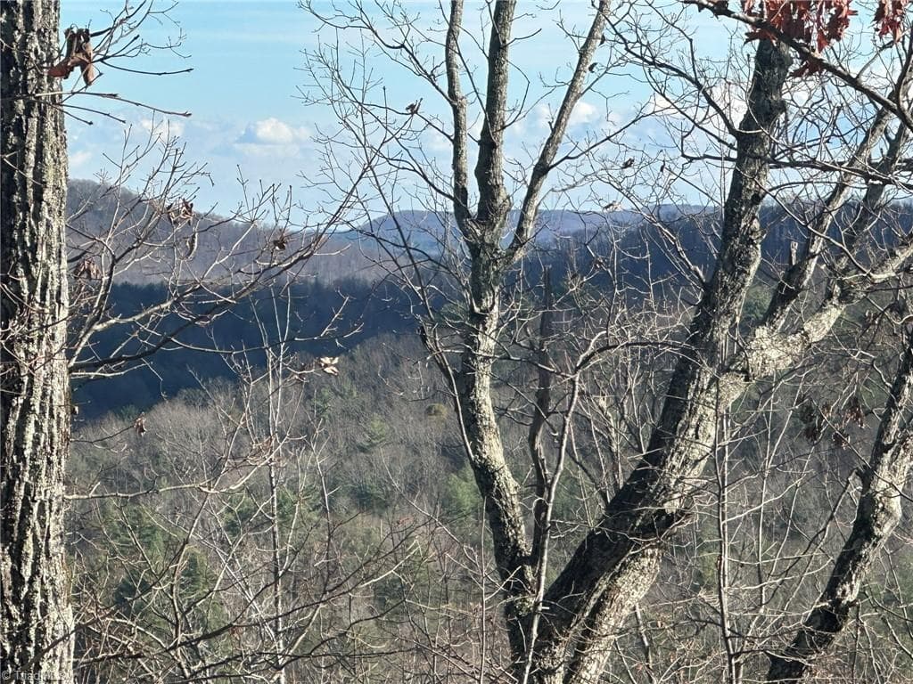 Unimproved Land at TBD2 Scout Road, Lenoir NC 28645, Lenoir, photo 19 of 38