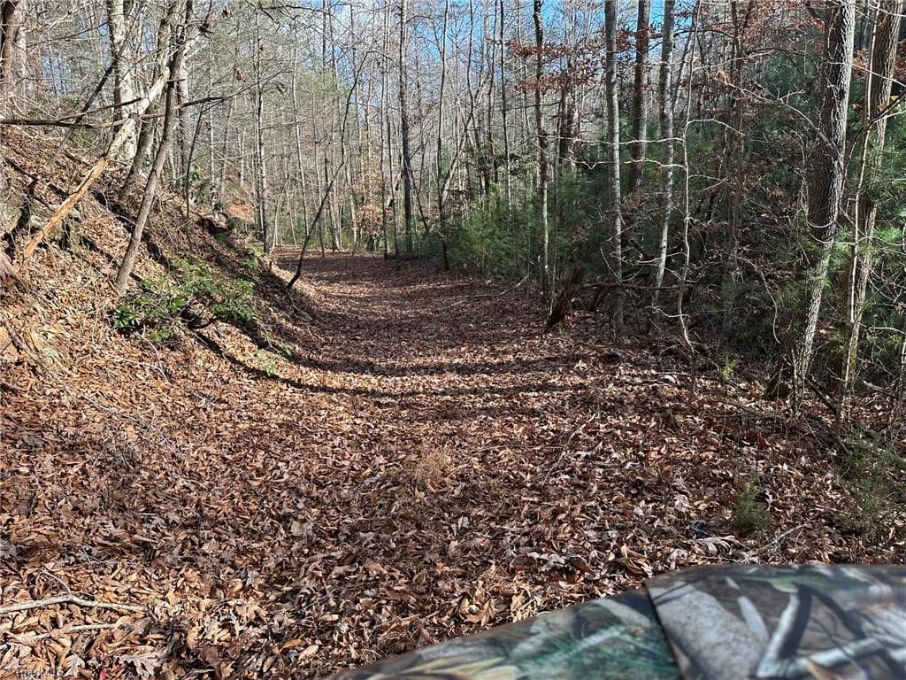 Unimproved Land at TBD2 Scout Road, Lenoir NC 28645, Lenoir, photo 29 of 38