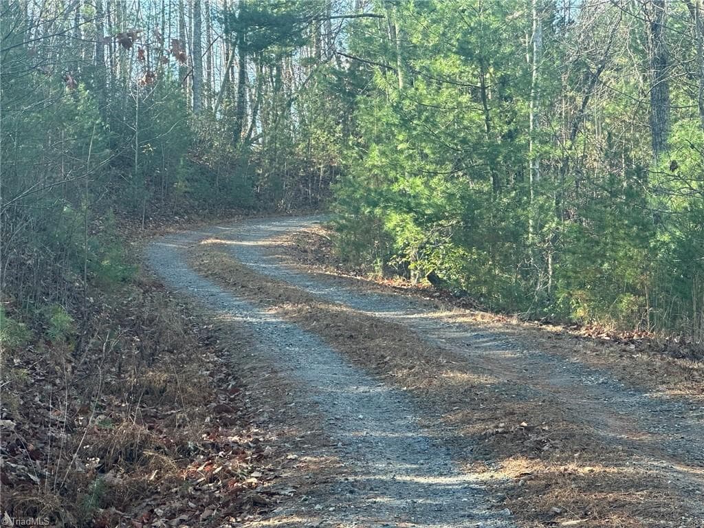Unimproved Land at TBD2 Scout Road, Lenoir NC 28645, Lenoir, photo 8 of 38