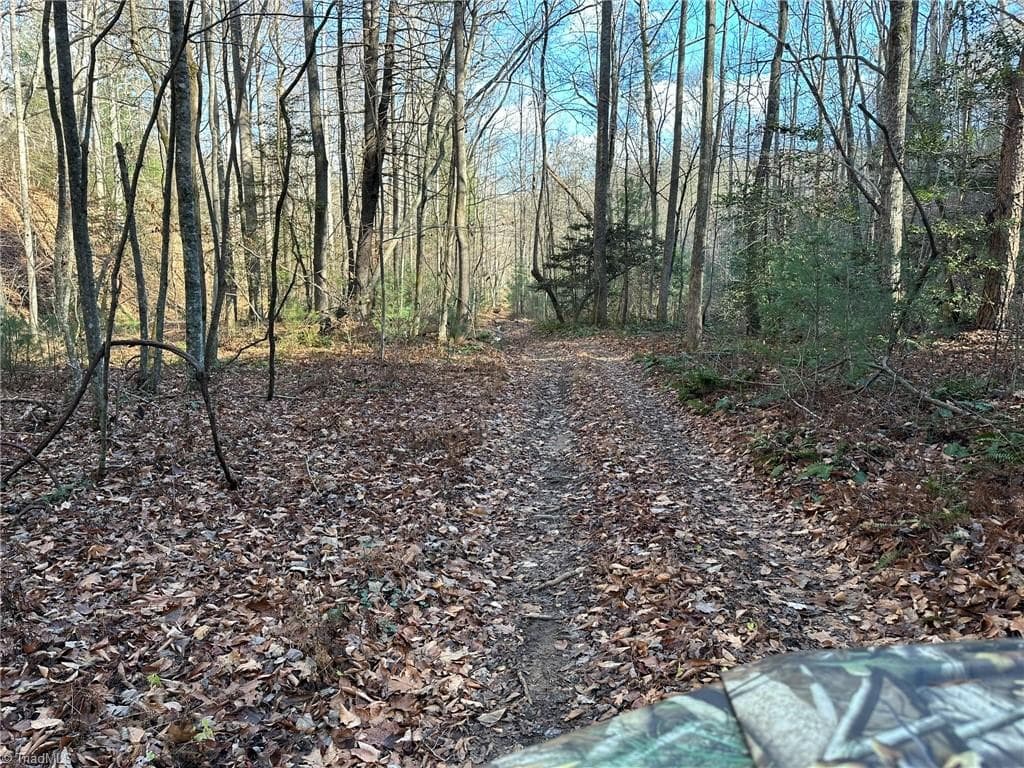 Unimproved Land at TBD2 Scout Road, Lenoir NC 28645, Lenoir, photo 25 of 38