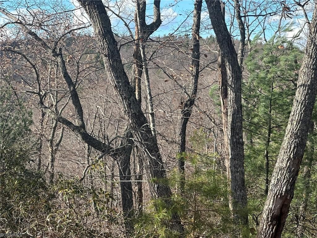 Unimproved Land at TBD2 Scout Road, Lenoir NC 28645, Lenoir, photo 21 of 38
