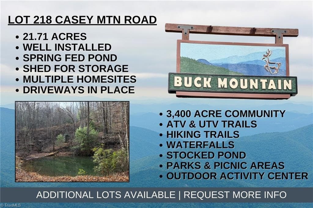 Lot 218 Casey Mountain Road, Purlear NC 28665