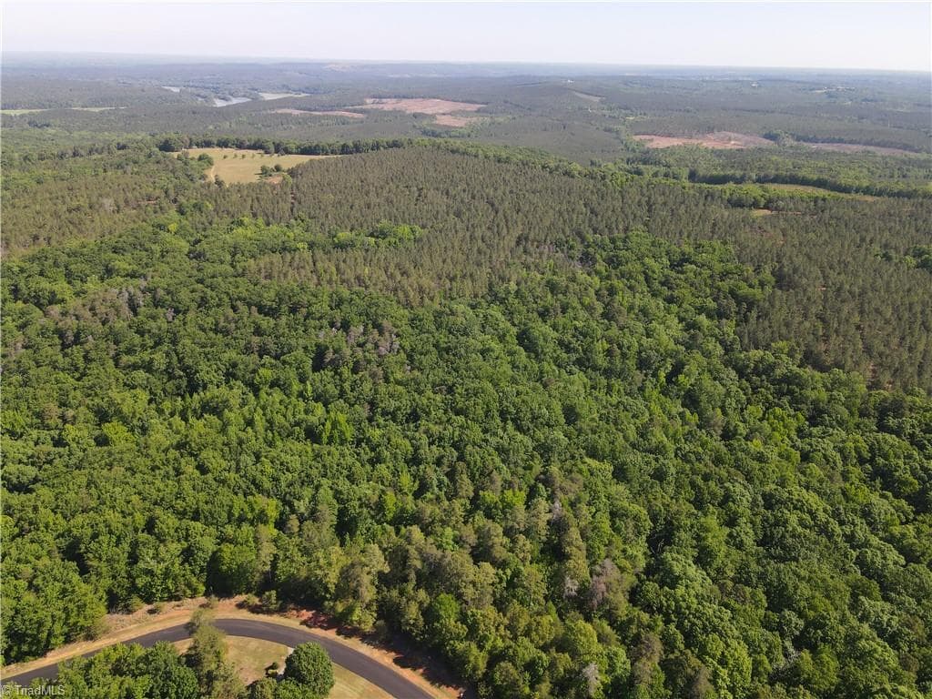 Single Family Residence at 176 Lake View Pass, Rockingham NC 28379, photo 3 of 12