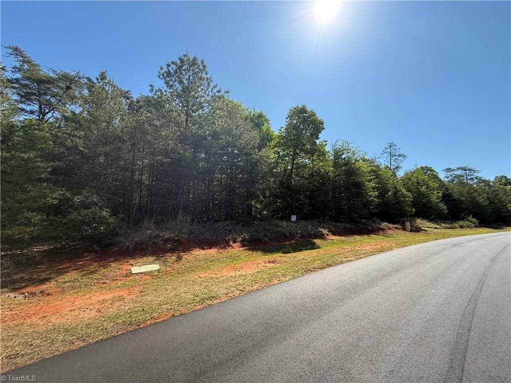 Single Family Residence at 176 Lake View Pass, Rockingham NC 28379, photo 4 of 12