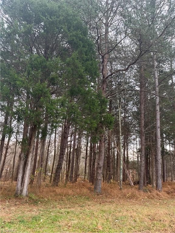 Single Family Residence at 2700 Edenridge Drive, High Point NC 27265, High Point, photo 3 of 36