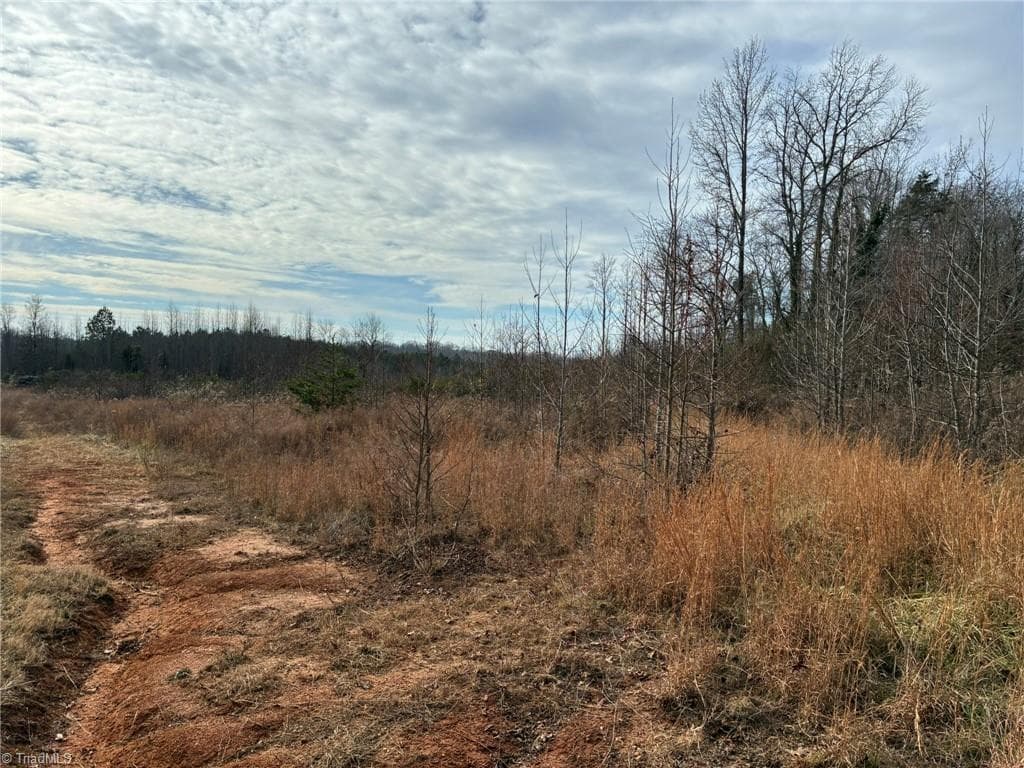 Unimproved Land at 9033 Stack Road, Colfax NC 27235, photo 6 of 10