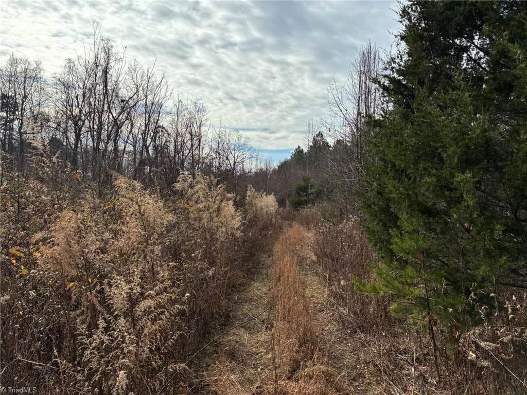 Unimproved Land at 9033 Stack Road, Colfax NC 27235, photo 8 of 10
