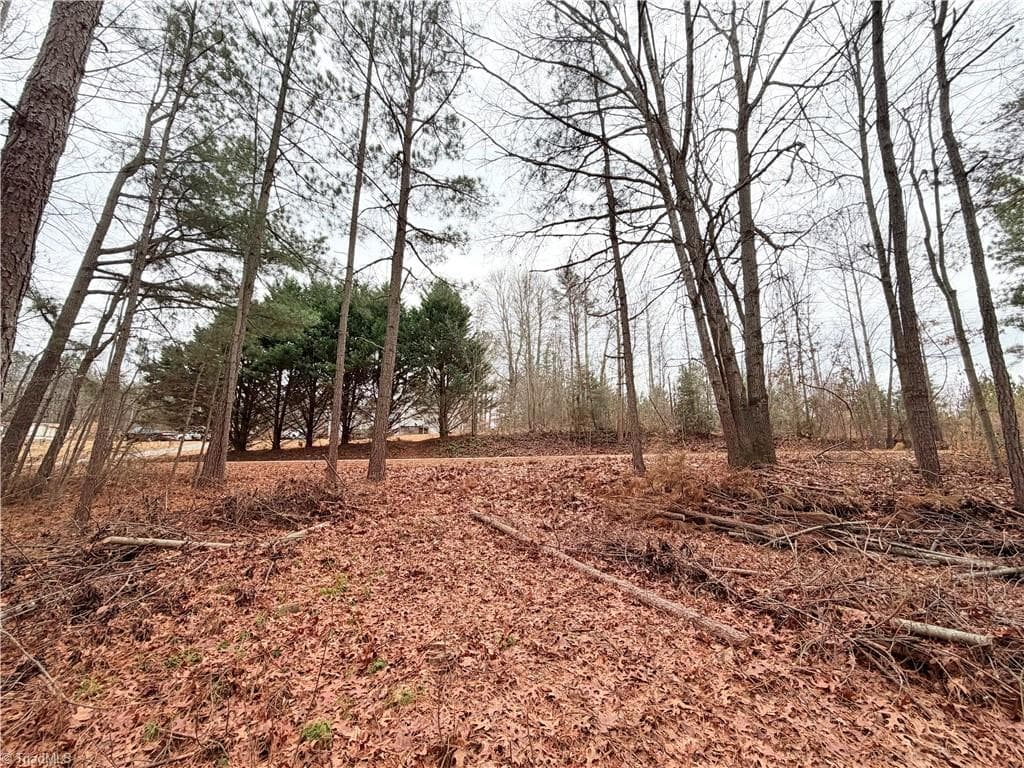 Unimproved Land at TBD Shumate Mountain Road, Hays NC 28635, Hays, photo 3 of 30