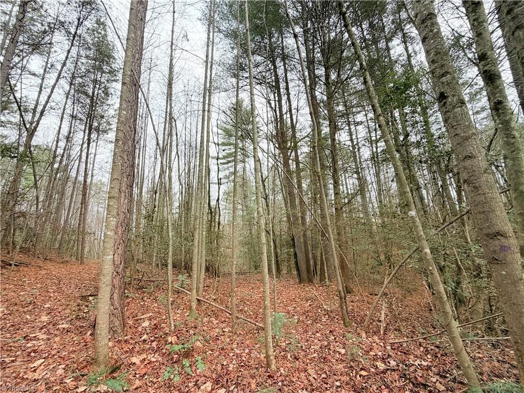 Unimproved Land at TBD Shumate Mountain Road, Hays NC 28635, Hays, photo 11 of 30