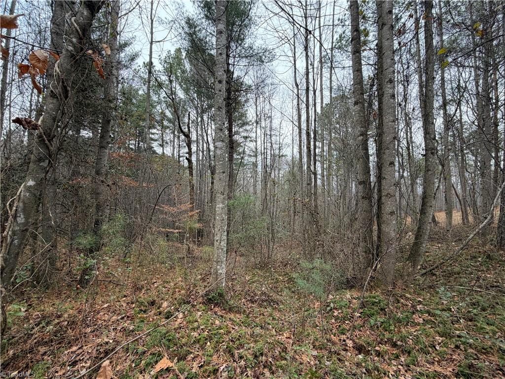 Unimproved Land at TBD Shumate Mountain Road, Hays NC 28635, Hays, photo 25 of 30