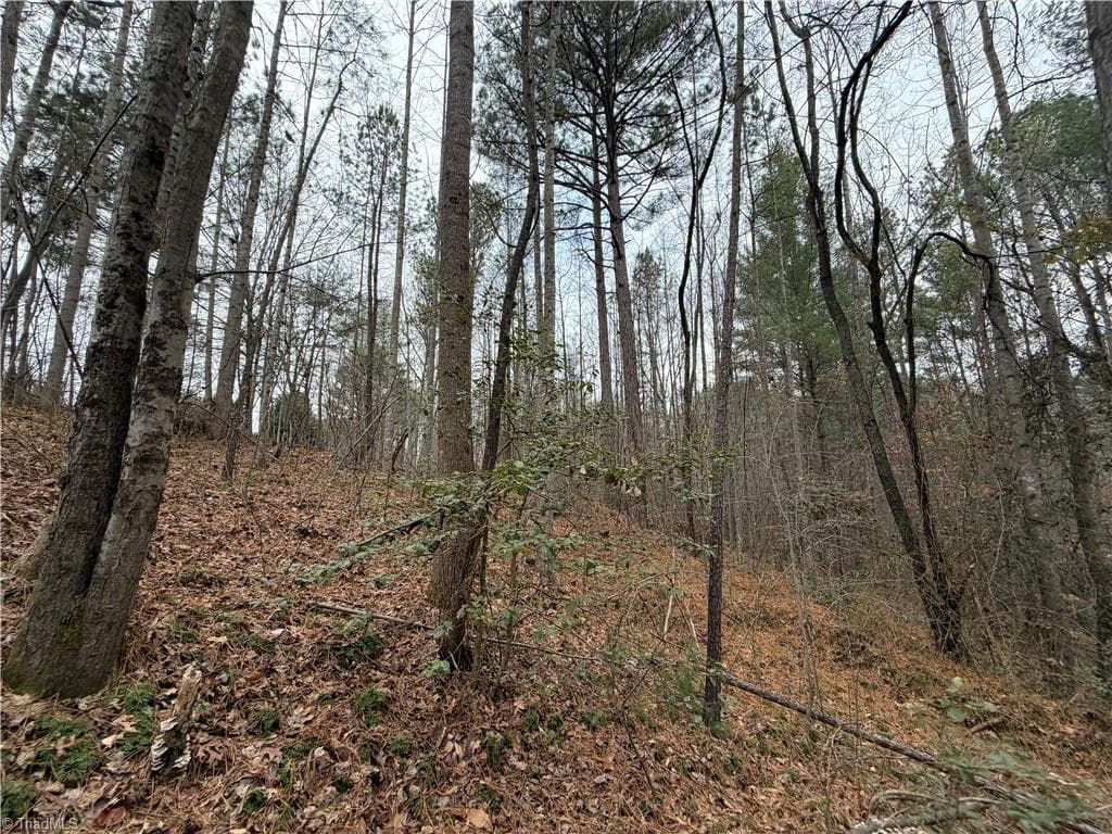 Unimproved Land at TBD Shumate Mountain Road, Hays NC 28635, Hays, photo 23 of 30