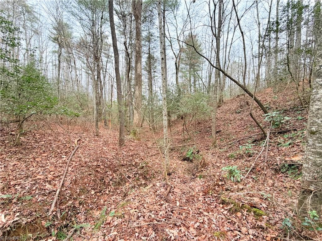 Unimproved Land at TBD Shumate Mountain Road, Hays NC 28635, Hays, photo 13 of 30