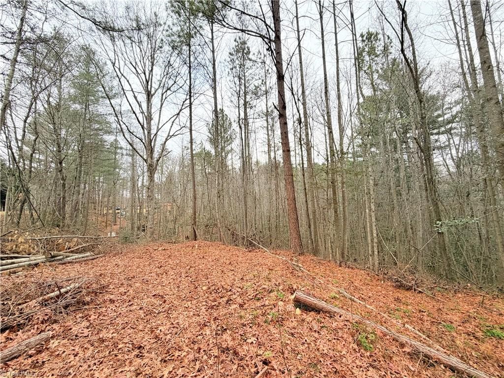 Unimproved Land at TBD Shumate Mountain Road, Hays NC 28635, Hays, photo 5 of 30