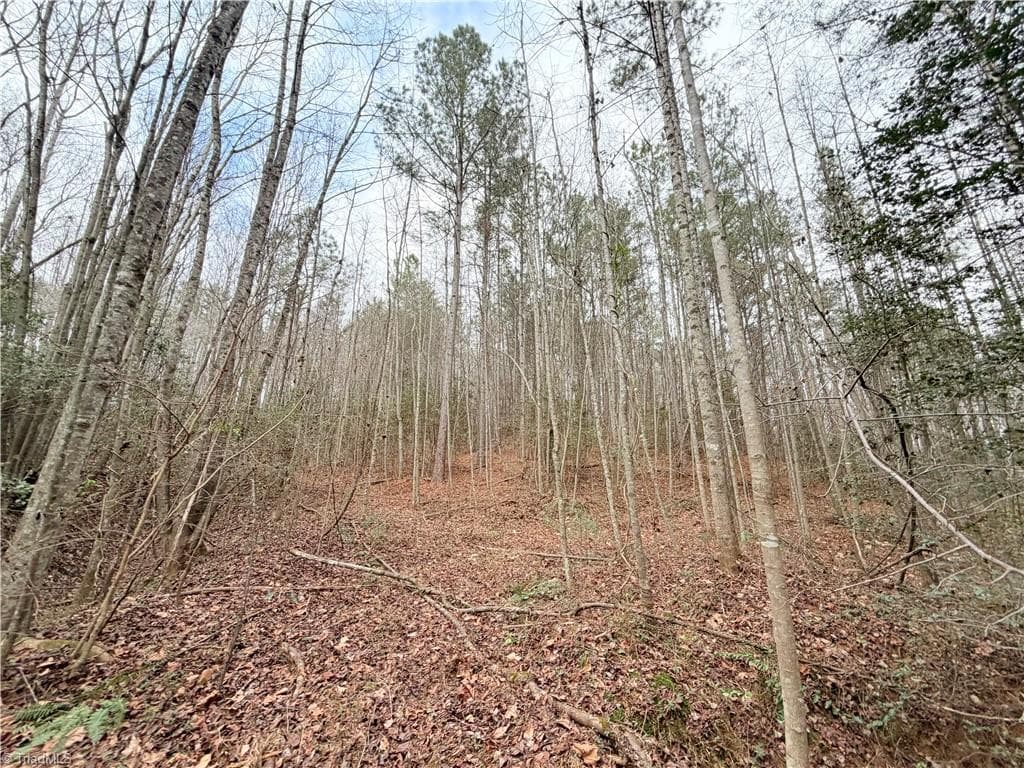 Unimproved Land at TBD Shumate Mountain Road, Hays NC 28635, Hays, photo 9 of 30