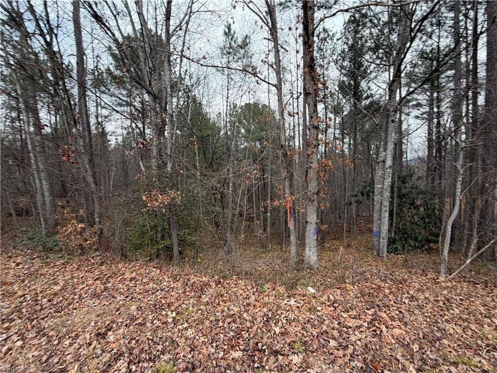 Unimproved Land at TBD Shumate Mountain Road, Hays NC 28635, Hays, photo 19 of 30