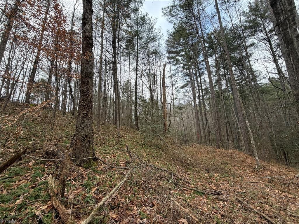 Unimproved Land at TBD Shumate Mountain Road, Hays NC 28635, Hays, photo 27 of 30